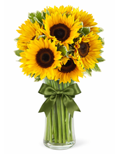 Carregar imagem no visualizador da galeria, Sol de Girassol - 3 opções de tamanho