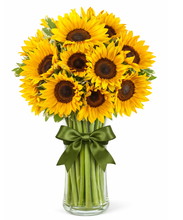 Carregar imagem no visualizador da galeria, Sol de Girassol - 3 opções de tamanho