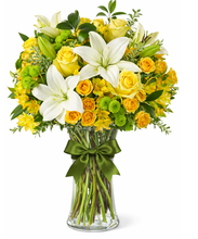 Carregar imagem no visualizador da galeria, Luxo Natural - 3 opções de tamanho