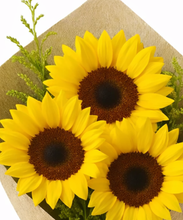 Carregar imagem no visualizador da galeria, Sorte