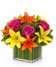 Carregar imagem no visualizador da galeria, Colorindo - 3 opções de tamanho