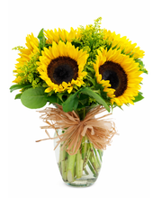 Carregar imagem no visualizador da galeria, Sol da Minha Vida