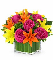 Carregar imagem no visualizador da galeria, Colorindo - 3 opções de tamanho