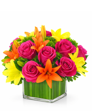 Carregar imagem no visualizador da galeria, Colorindo - 3 opções de tamanho