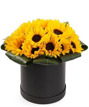 Carregar imagem no visualizador da galeria, Luxo de Girassóis