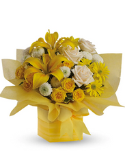 Carregar imagem no visualizador da galeria, Carinhoso