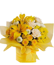 Carregar imagem no visualizador da galeria, Carinhoso