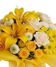 Carregar imagem no visualizador da galeria, Carinhoso