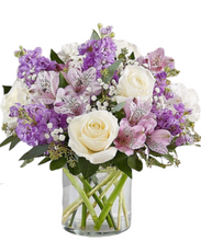 Carregar imagem no visualizador da galeria, Encantado - 3 opções de tamanho