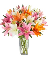 Carregar imagem no visualizador da galeria, Le Sophistiqué