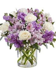 Carregar imagem no visualizador da galeria, Encantado - 3 opções de tamanho