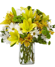 Carregar imagem no visualizador da galeria, Angelical - 3 opções de tamanho