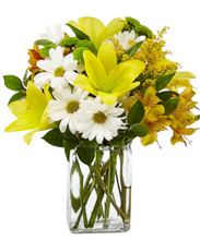 Carregar imagem no visualizador da galeria, Angelical - 3 opções de tamanho