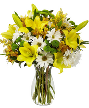 Carregar imagem no visualizador da galeria, Angelical - 3 opções de tamanho