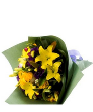 Carregar imagem no visualizador da galeria, Íris