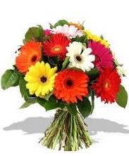 Carregar imagem no visualizador da galeria, Mix de Gerberas - Itaim Flores