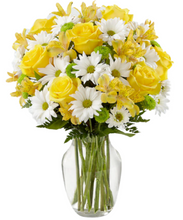 Carregar imagem no visualizador da galeria, Gold - 3 opções de tamanho