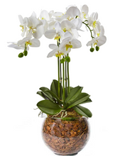 Carregar imagem no visualizador da galeria, Requinte