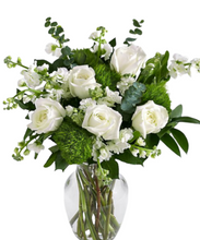 Carregar imagem no visualizador da galeria, A Delicadeza