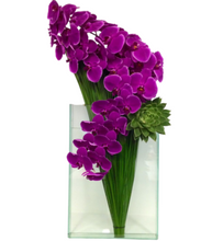 Carregar imagem no visualizador da galeria, Glamuroso