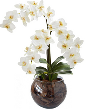 Carregar imagem no visualizador da galeria, Requinte