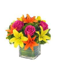 Carregar imagem no visualizador da galeria, Colorindo - Itaim Flores