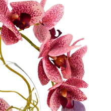 Carregar imagem no visualizador da galeria, Simple Charm - Itaim Flores