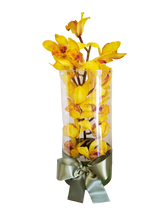 Carregar imagem no visualizador da galeria, Orquidea Moderna