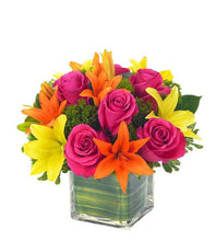 Carregar imagem no visualizador da galeria, Colorindo - Itaim Flores