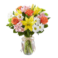 Carregar imagem no visualizador da galeria, Mais Brilhante - 4 opções de tamanho - Itaim Flores