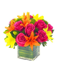 Carregar imagem no visualizador da galeria, Colorindo - Itaim Flores