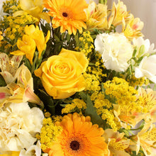 Carregar imagem no visualizador da galeria, Sunshine