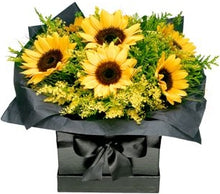 Carregar imagem no visualizador da galeria, Encanto de Girassóis - Itaim Flores