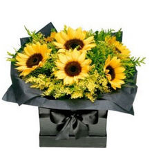 Carregar imagem no visualizador da galeria, Encanto de Girassóis - Itaim Flores