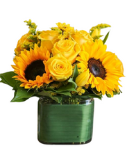 Carregar imagem no visualizador da galeria, Sunflowers