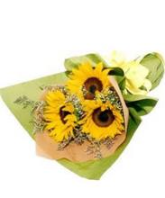 Carregar imagem no visualizador da galeria, Sorte