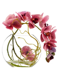 Carregar imagem no visualizador da galeria, Simple Charm