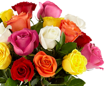 Carregar imagem no visualizador da galeria, Multi Colours - Itaim Flores