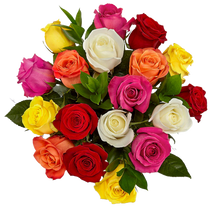 Carregar imagem no visualizador da galeria, Multi Colours - Itaim Flores