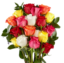 Carregar imagem no visualizador da galeria, Multi Colours - Itaim Flores