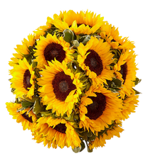 Carregar imagem no visualizador da galeria, Sol de Girassol - Itaim Flores