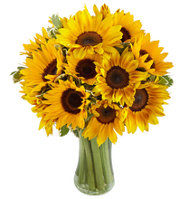 Carregar imagem no visualizador da galeria, Sol de Girassol - Itaim Flores