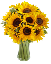 Carregar imagem no visualizador da galeria, Sol de Girassol - Itaim Flores