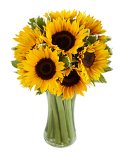 Carregar imagem no visualizador da galeria, Sol de Girassol - Itaim Flores