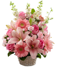 Carregar imagem no visualizador da galeria, Muito Amor - Itaim Flores