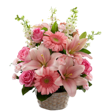 Carregar imagem no visualizador da galeria, Muito Amor - Itaim Flores