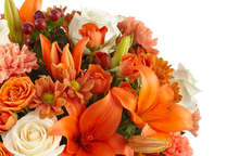 Carregar imagem no visualizador da galeria, Contagiante - Itaim Flores