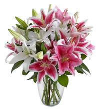 Carregar imagem no visualizador da galeria, Vibrante - Itaim Flores