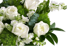 Carregar imagem no visualizador da galeria, A Delicadeza - Itaim Flores