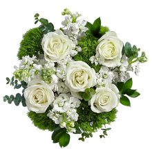 Carregar imagem no visualizador da galeria, A Delicadeza - Itaim Flores